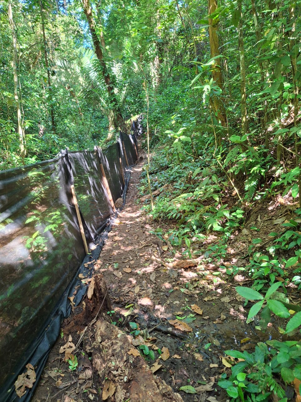 Propiedad Rio Negro