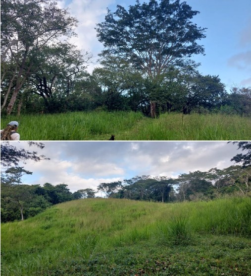 Finca Cabuya