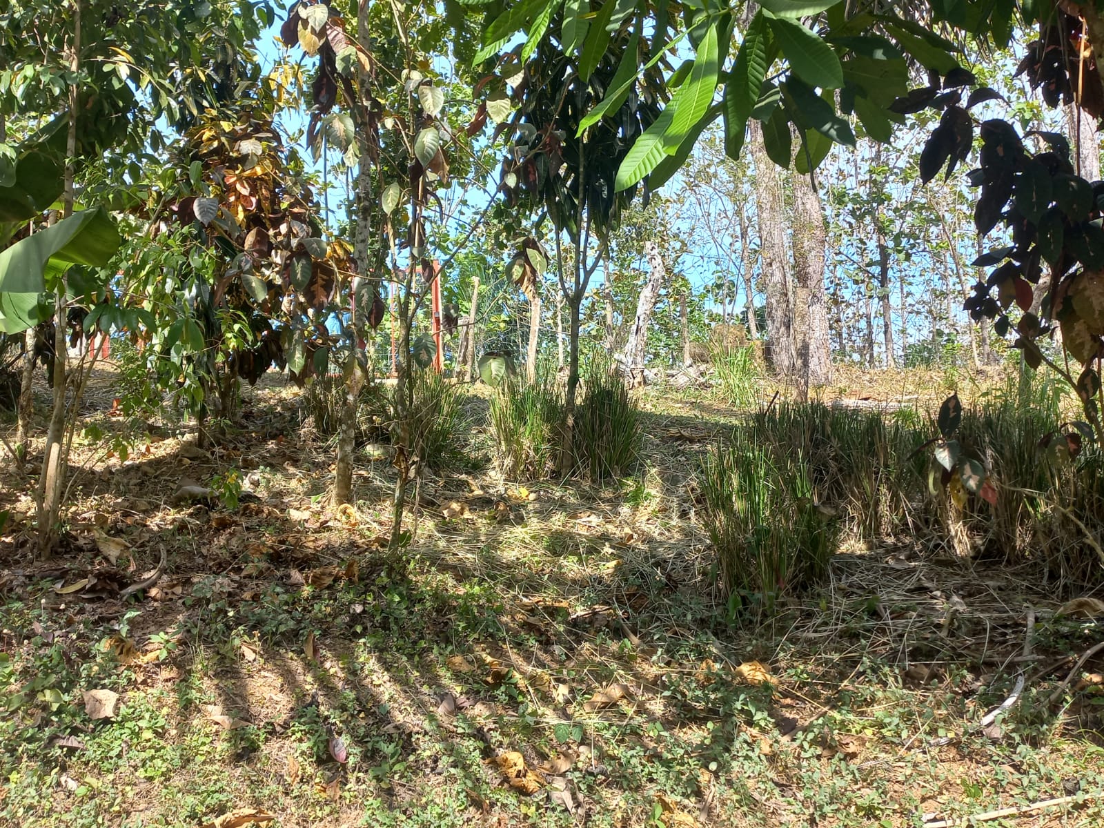 Propiedad Rio Negro