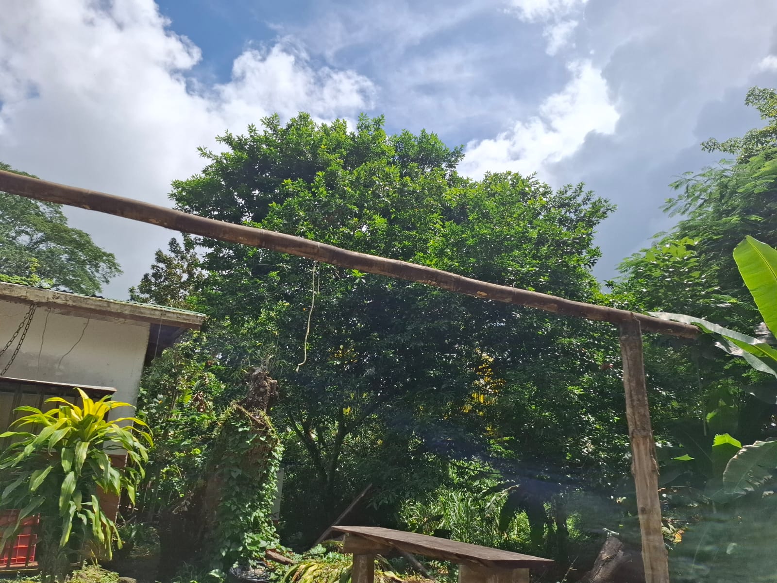 Mini Super La Esperanza
